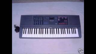 Bielyje rozy  Casio CTK550 [upl. by Ieso]