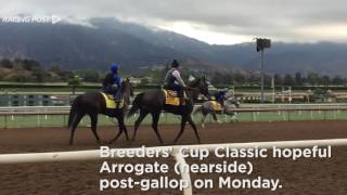 Breeders Cup Arrogate [upl. by Orian143]