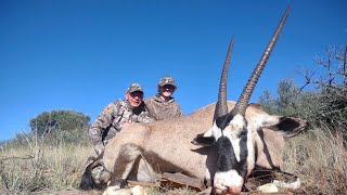 Hunting MASSIVE African Gemsbok meat was donated to a school [upl. by Nayrbo]