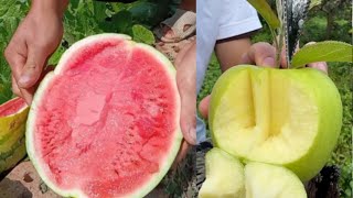 Farm Fresh Ninja Fruit Cutting  Oddly Satisfying Fruit Ninja Part 20 khempal fruits [upl. by Pelmas388]