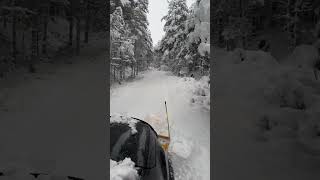 Ford Ranger Snow Clearance  Scottish Highlands 🏴󠁧󠁢󠁳󠁣󠁴󠁿 forest snow fordranger plowing [upl. by Senn57]