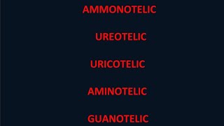 AmmonotelicUreotelic UricotelicAminotelic Guanotelic Removal of nitrogenous wastes [upl. by Hilar443]