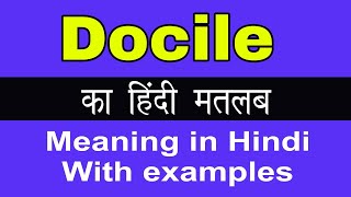 Docile Meaning in Hindi Docile ka kya Matlab Hota hai [upl. by Ibrad168]