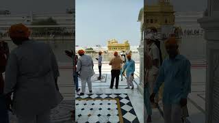 Soulful Experience Of Gurbani Dukhbhanjan Tero Naam at Golden Templegurbaniytshortssikh [upl. by Titania746]