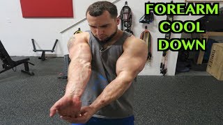 5 Minute Forearm Static Stretching Routine  Cool Down [upl. by Finstad]