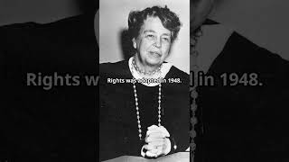 1080 Eleanor Roosevelt A Legacy of Leadership youtubeshorts facts history unitedstates [upl. by Eimoan]