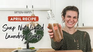 Soap Nut Homemade Liquid Laundry Detergent Recipe [upl. by Nil693]