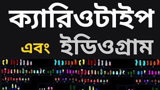 Karyotype and Idiogra  ক্যারিওটাইপ এবং ইডিওগ্রাম। [upl. by Rehctaht]