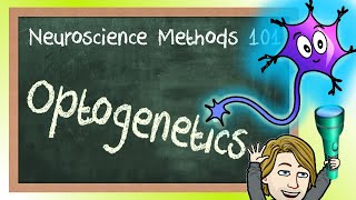 Optogenetics Explained  Neuroscience Methods 101 [upl. by Adrianne867]