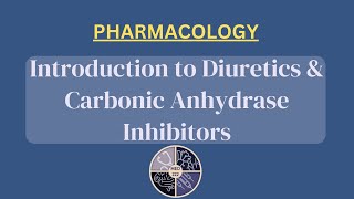 Introduction to Diuretics  Carbonic Anhydrase Inhibitors [upl. by Hugo22]