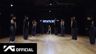 LISA  MONEY DANCE PRACTICE VIDEO [upl. by Anawik654]