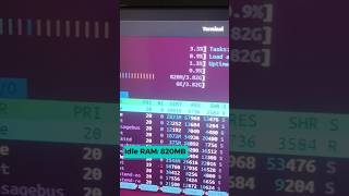 Ubuntu 2404  RAM Usage  GNOME 46 linux ubuntu [upl. by Eenaffit]