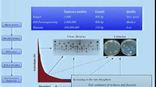 Microbial Metagenomics [upl. by Etak687]