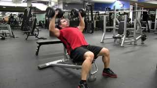 Incline Dumbbell Chest Press 45 degree [upl. by Eelasor]