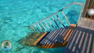 Villa NAUTICA Paradise Island Resort Maldives🔥  Water Villa with Whirlpool  Room TOUR HD [upl. by Atat615]