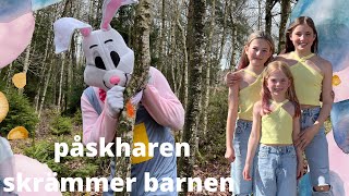 Påskharen gömmer paket i skogen amp skrämmer barnen  PÅSKVLOGG [upl. by Kimon]