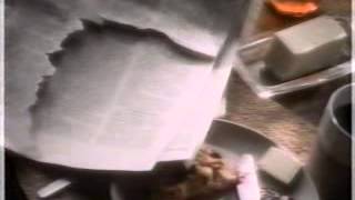 August 1995 Commercials Part 71 [upl. by Lauro714]