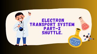 Electron Transport System  Shuttle Biochemistry [upl. by Eetak404]