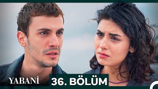 Yabani 36 Bölüm SEZON FİNALİ [upl. by Ransell]