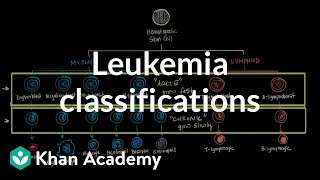 Leukemia classifications  Hematologic System Diseases  NCLEXRN  Khan Academy [upl. by Adlitam376]