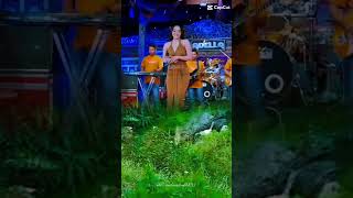 Ciinan Bana Difarina indra music dangdut [upl. by Ahsiekim]