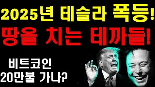 2025년 테슬라 폭등 모든 시나리오가 맞추어지고 있다 땅을 치고 우는 떼까들 비트코인 20만불 가나 언제쯤 팔아야 하나 테슬라 에너지 내년 부터 대폭발 [upl. by Leuams]