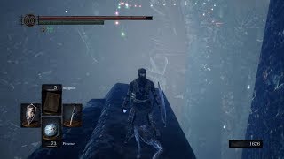 DARK SOULS REMASTERED  Blue Titanite Slab location [upl. by Audun]