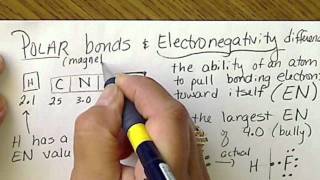 Electronegativity differences explain Polar bonds in covalent compounds [upl. by Jewell]