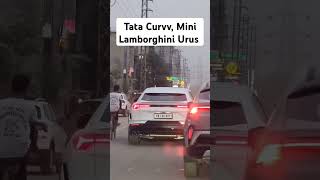 Tata Curvv mini Lamborghini Urus 😂 yt cartech automobile [upl. by Elaweda]