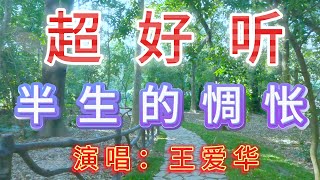 王爱华完整版《半生的惆怅》超好听｜广东珠海唐家古树公园 [upl. by Nylyak]