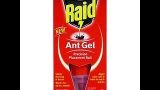 Raid Ant Gel Review [upl. by Fi]