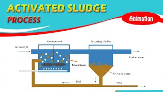 ACTIVATED SLUDGE PROCESS  with ANIMATION [upl. by Eillod]