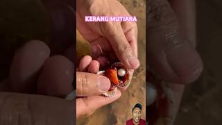 KERANG MUTIARA fishing animals [upl. by Sehcaep]