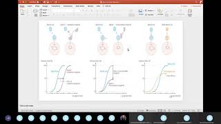 Term 4 Exam 1 Review  Pharmacology Part 1 [upl. by Maite]