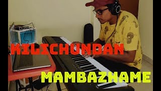 Kilichundan Mambazhame Mohanlal  Piano Cover [upl. by Llevart]