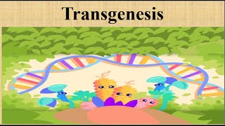 What is Transgenesis and How does it work [upl. by Cirda211]