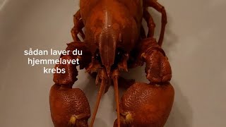 sådan laver du hjemmelavet signalkrebs 🦞🦞🦞🦞🦞🦞 [upl. by Teresina]