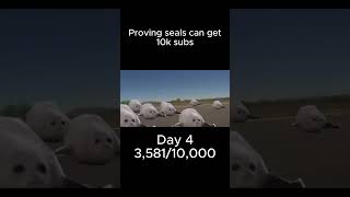 Proving seals can get 10k subs Day 4 memes seals shorts [upl. by Nanji]