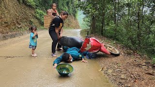 Giang Thi Ty helping a mobile police officer who fell off his bike  single mother [upl. by Gitlow]