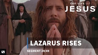 Lazarus Rises  The Life of Jesus  29 [upl. by Bove]