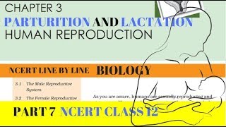 Part7 HUMAN REPRODUCTION PARTURITION AND LACTATION chapter3 NCERT class 12th biology [upl. by Pelagia741]