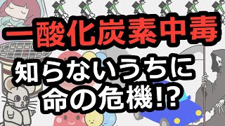 一酸化炭素中毒を予防しよう【CO中毒の危険度、原因、症状】 [upl. by Aicitel]