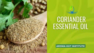 Coriander Essential Oil  Detox The Body  Coriander Oil [upl. by Ehman489]