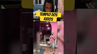 TEMPLO DOS RATOS shorts react comida humor indianfood [upl. by Bevus893]