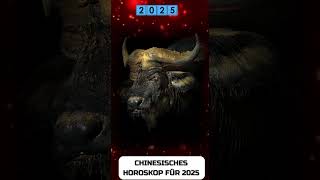 Büffel Chinesisches Horoskop für 2025 [upl. by Erdnaed]