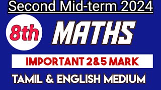 8th std Maths Second Mid term test Important Question 2amp5 Mark 2024 [upl. by Pawsner]