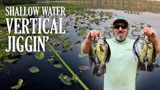 How to VERTICAL JIG for Shallow Water CRAPPIE  Tips Tricks amp Techniques [upl. by Madid886]