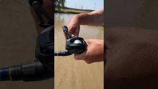 THIS REEL CASTS SO FAR Shimano Curado M [upl. by Agnesse]