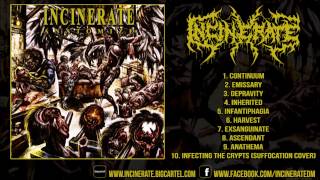 Incinerate  Anatomize FULL ALBUM 1080p HD [upl. by Lennie]