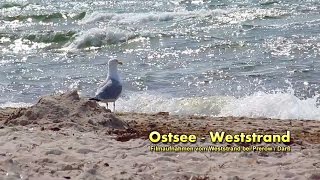 Ostsee  Weststrand [upl. by Graff270]